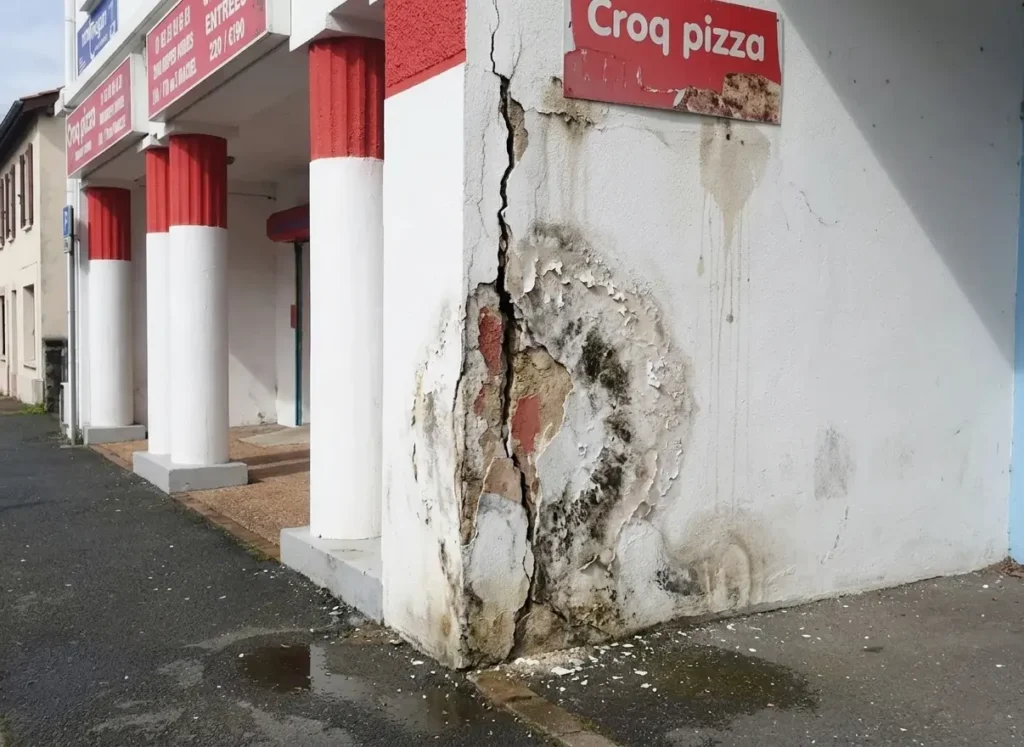Defecto de humedad en pared tras reforma, garantía de 3 años en Irún